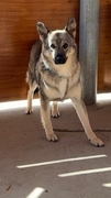 LOBITA Image 6